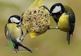 POKARM DLA PTAKÓW KULE 220G 1szt (ME27)