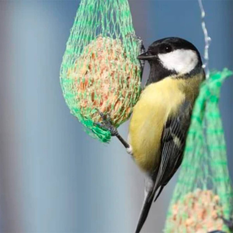 POKARM DLA PTAKÓW KULE 220G 1szt (ME27)