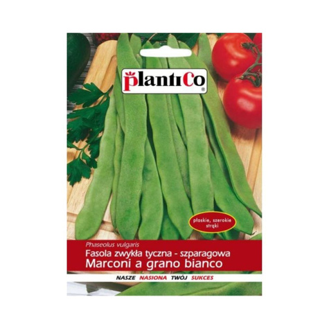 Fasola szparagowa zielonostrąkowa tyczna bezłykowa Marconi 10g