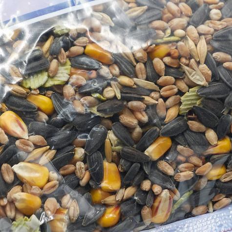 POKARM dla ptaków MEGI KARMA ZIMOWA 1000g (ME145)