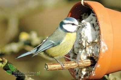 POKARM DZWONEK DLA DZIKICH PTAKÓW 400g (ME117)