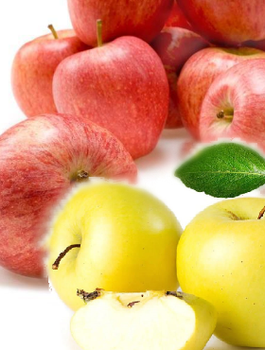 DUO Jabłoń Gala + Golden Delicious niezwykle smaczne Plant Pack
