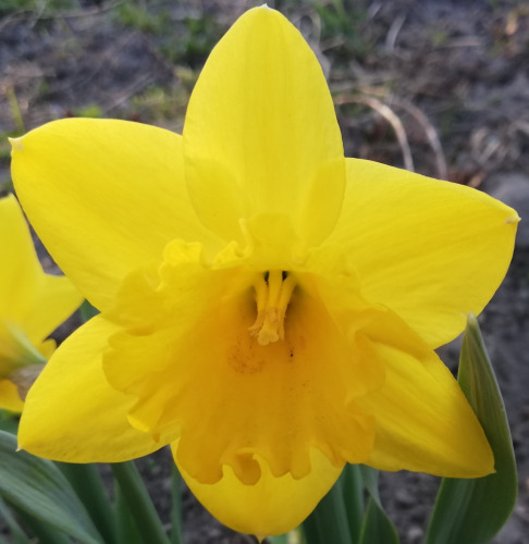 JOANNA, Książki JOANNA, Książki