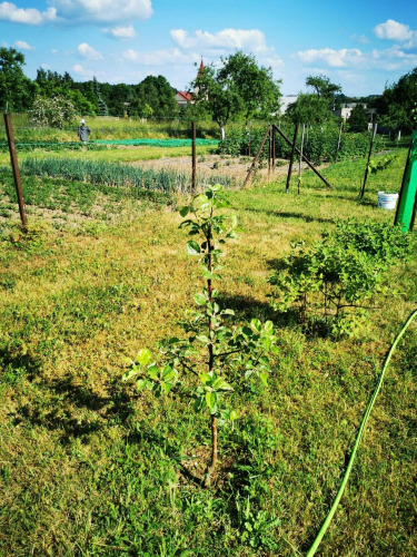 Łukasz, Tychy, Pow. Tychy