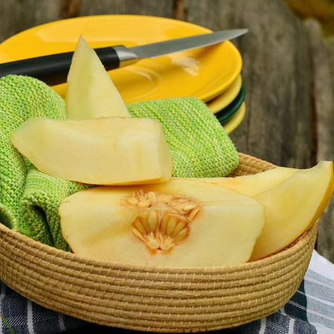 Nasiona melona Sadowniczy.pl