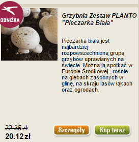 Pieczarka biała