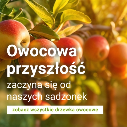Drzewka owocowe