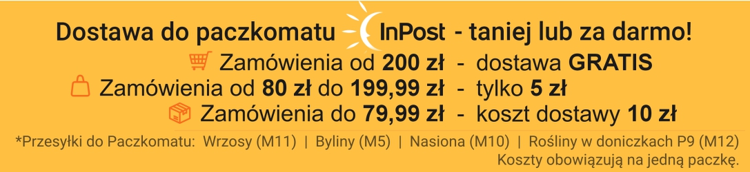 Dostawa InPost