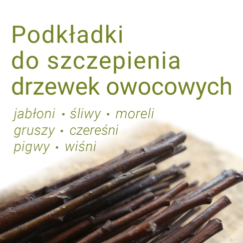 Podkładki do szczepienia