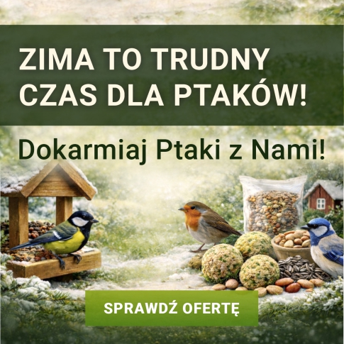 Dokarmiaj ptaki z nami!