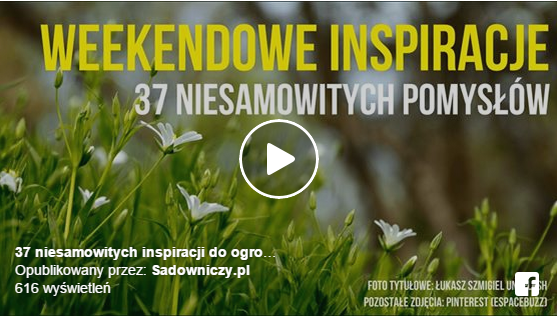 [VIDEO] 37 ogrodowych inspiracji i niesamowitych pomysłów