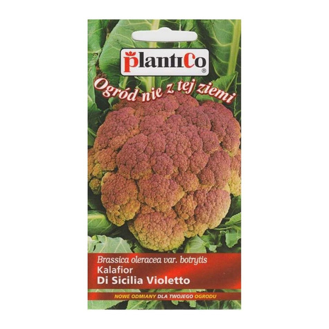 ZESTAW ALLEGRO Kalafior średniopóźny Di Sicilia Violetto 0,2g