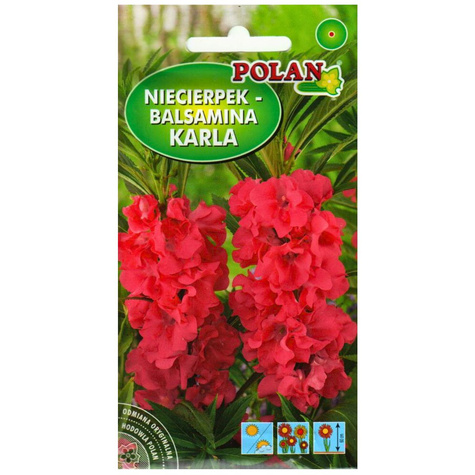 Niecierpek Balsamina Karla malinowy 2g