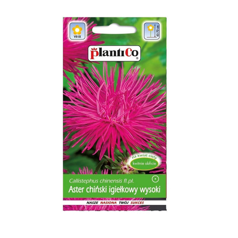 Aster chiński igiełkowy wysoki amarantowy 1g