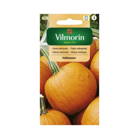 Dynia zwyczajna olbrzymia Jack O'Lantern 2g