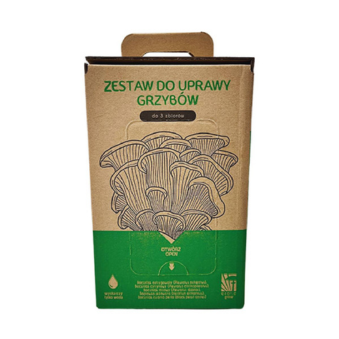 Soplówka jeżowata GROW KIT