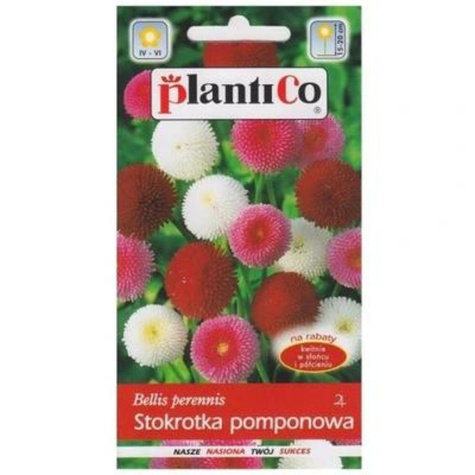 Stokrotka pomponette mix 0,3g