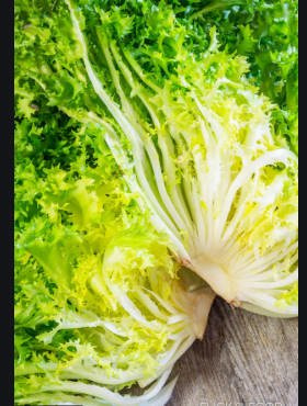 Cykoria Endywia Cuor d'oro 0,2g