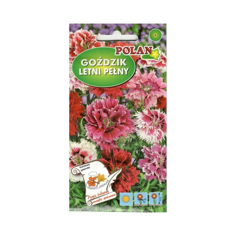Goździk letni pełny mieszanka 1g