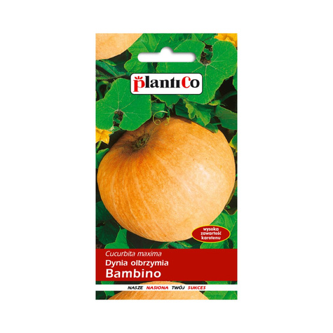 Dynia olbrzymia Bambino 5g