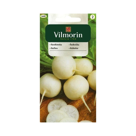 Rzodkiewka okrągła biała Tondo Bianco wczesna 5g