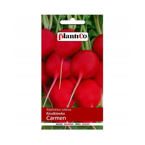 ZESTAW ALLEGRO Rzodkiewka Carmen wczesna 10g