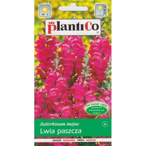 Lwia Paszcza wysoka różowa Wyżlin 0,5 g Plantico