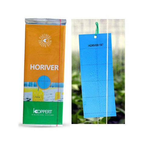  Małe niebieskie tablice lepowe Horiver-Tr 10 szt (25x10cm) 