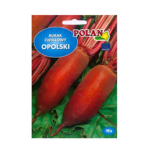 ZESTAW ALLEGRO Burak ćwikłowy OPOLSKI 20g