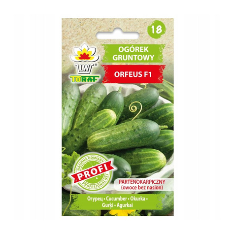 Ogórek Orfeus F1 mieszaniec 2g