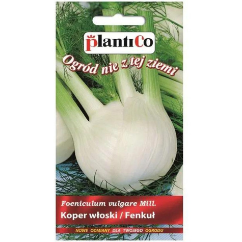 Fenkuł Koper Włoski Fino 1g