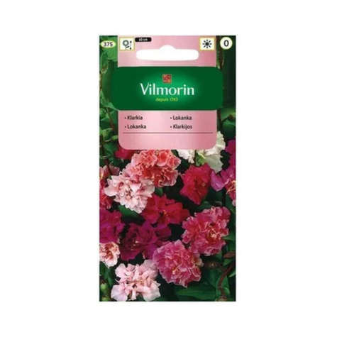 Klarkia Dzierotka mieszanka 2g