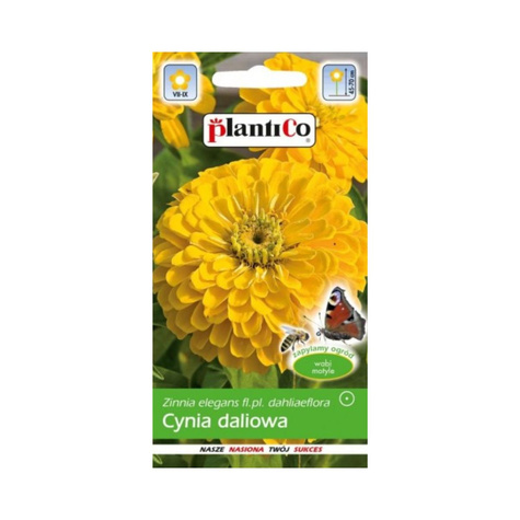 Cynia wytworna daliowa żółta 1g