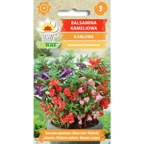 Niecierpek Balsamina karłowy Balsamina Kameliowa 0,5g ToRaf