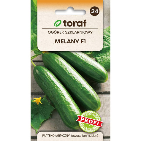 Ogórek szklarniowy Melany F1 mieszaniec 1g