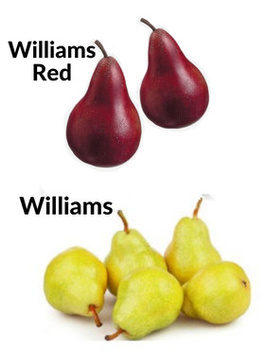 Duo grusza Williams i Williams Red Plant Pack