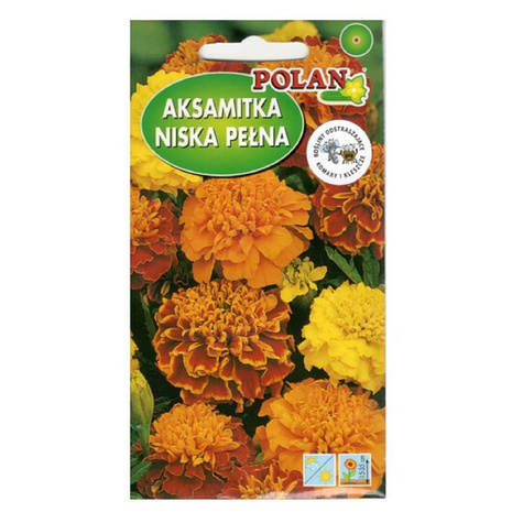 Aksamitka rozpierzchła niska pełna mix kolorów 1g