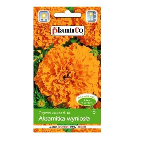 Aksamitka wyniosła pomarańczowa 1g Plantico