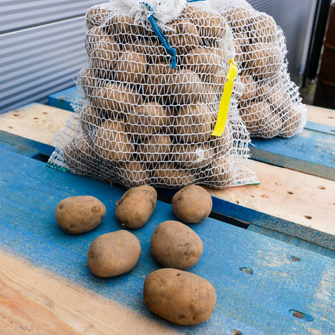 Ziemniaki Marabel 1kg