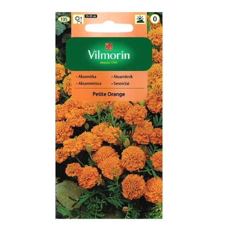 Aksamitka rozpierzchła pełna Petite Orange 1g