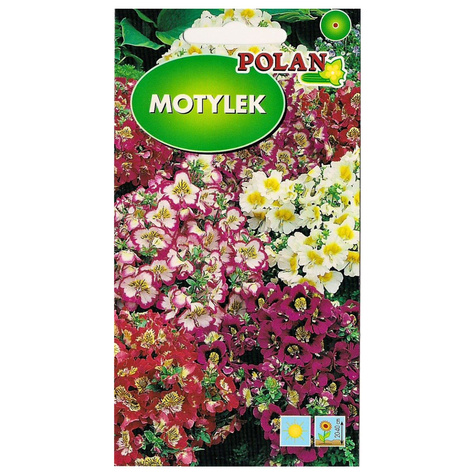 Motylek zestaw kolorów 1g Polan