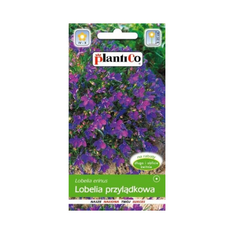 Lobelia przylądkowa Stroiczka fioletowa 0,2 g Plantico