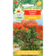 Płomień afryki Delonix Regia 5 szt nasion