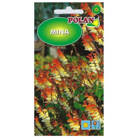 Mina, Wilec klapowany 0,5g Polan