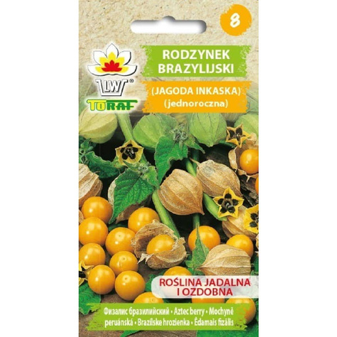 Rodzynek Brazylijski Physalis peruviana Miechunka 0,2g