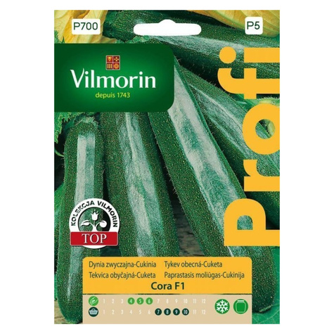 Dynia zwyczajna Cukinia Cora F1 2g