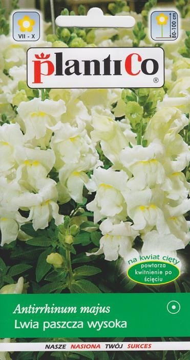 Wyżlin Lwia Paszcza wysoka biała 0,5g