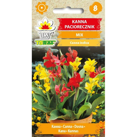 Kanna Paciorecznik mix Canna indica nasiona 1g