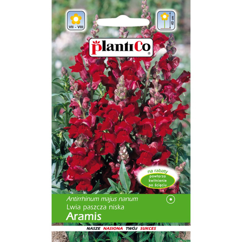 Lwia Paszcza karłowa Aramis czerwona Wyżlin 0,5 g