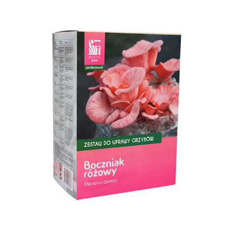 Boczniak różowy Profesional 1kg Gotowe podłoże do uprawy domowej